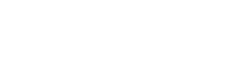 Logo Website BDG White
